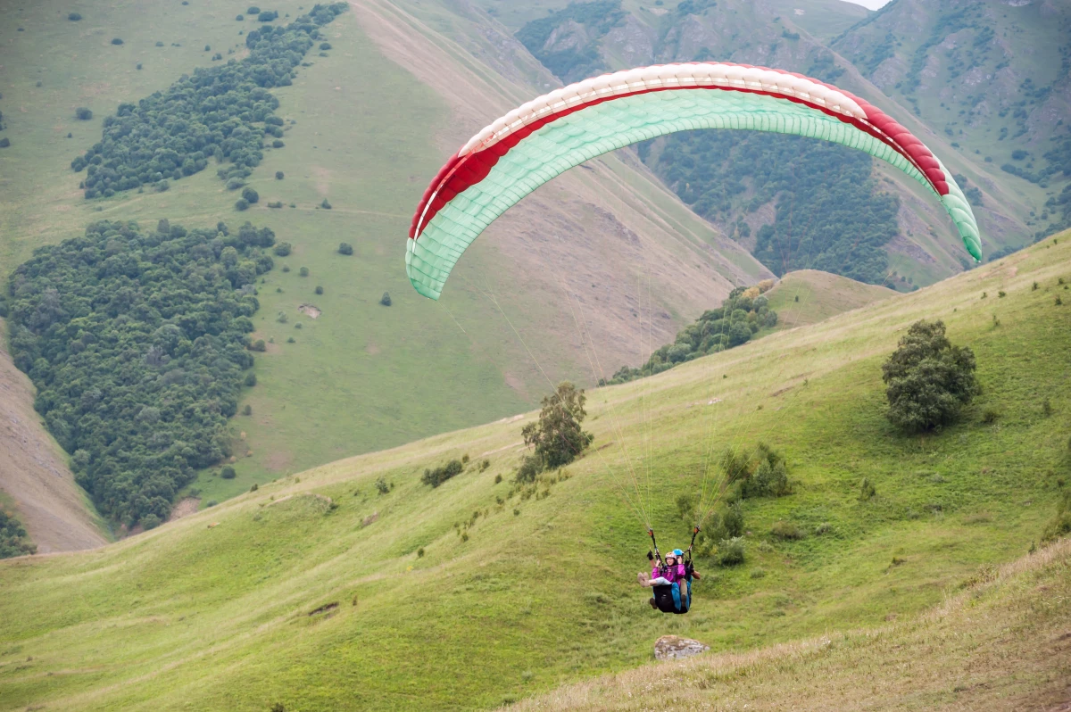 Terrain à donner gratuitement : une opportunité à saisir pour réaliser vos projets